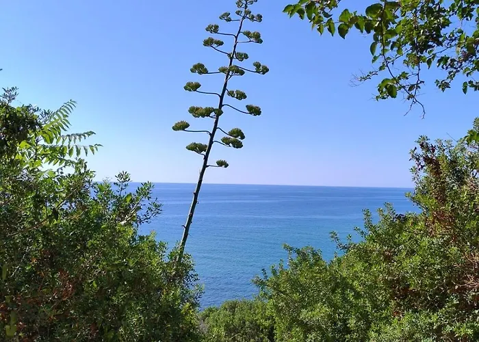 Casa Elvira Alojamento de Acomodação e Pequeno-almoço