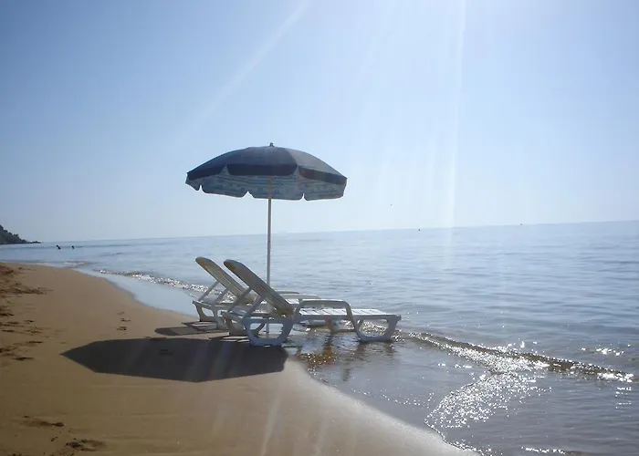 Alojamento de Acomodação e Pequeno-almoço Casa Elvira 4*