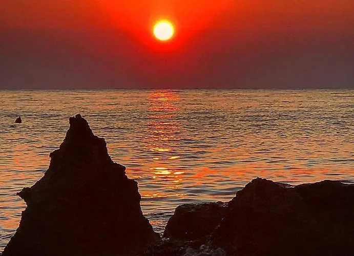 Alojamento de Acomodação e Pequeno-almoço Casa Elvira