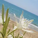 Bed and breakfast Casa Elvira 4*