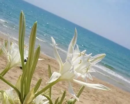 Отель типа 