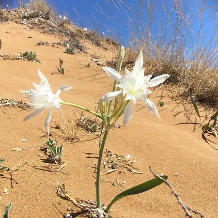 Bed and breakfast Casa Elvira 4*