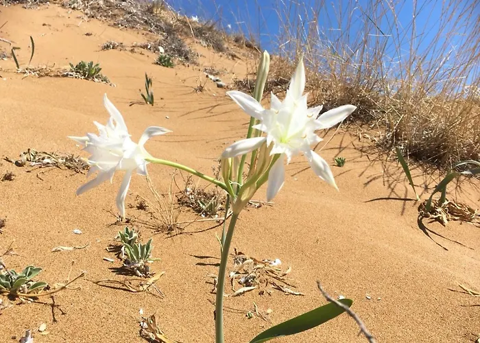 לינה וארוחת בוקר Casa Elvira 4*
